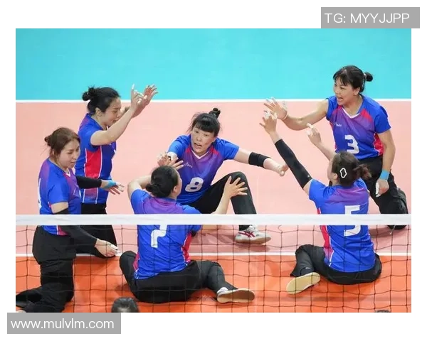 上海排球队的转型之路：从传统强队到现代化竞技新标杆