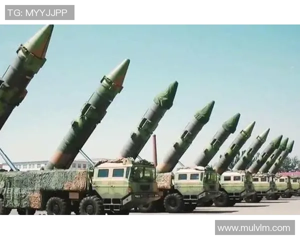 上海排球队快攻革新带来的战术变革与未来展望