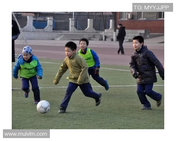 北大教授深度解析足球文化与教育的交融之道