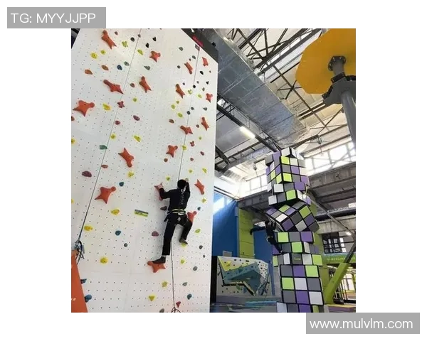 南京攀岩队与杭州攀岩队的灵活性较量赛后分析与反思