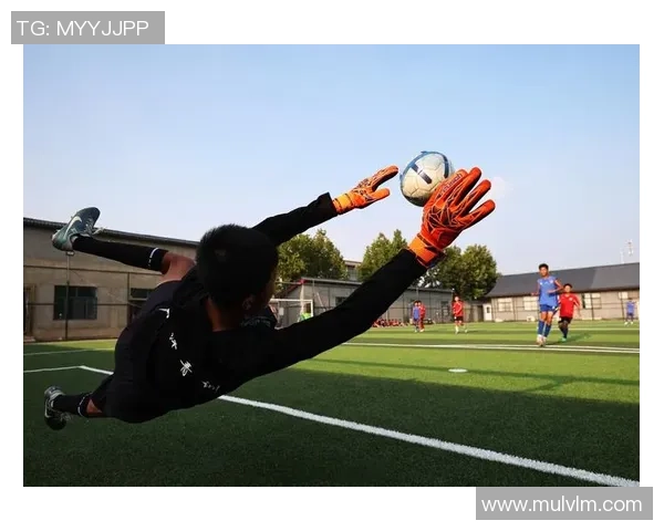 在绿茵场上挥洒汗水与梦想的青春岁月我与足球的故事